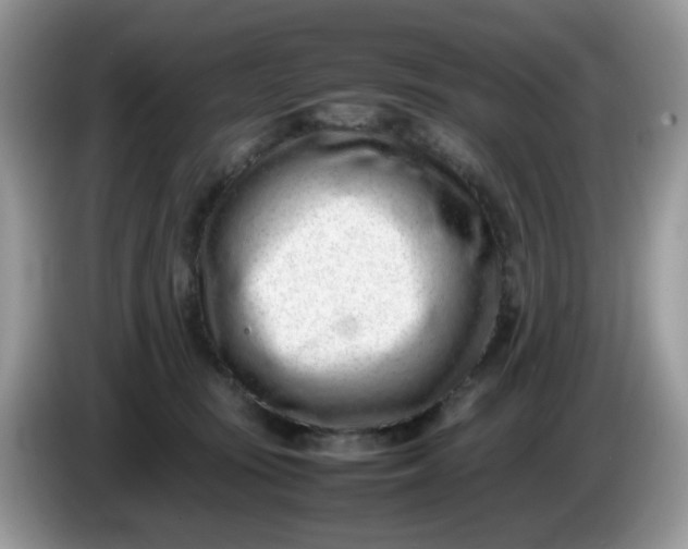 X0000086230371200704121920