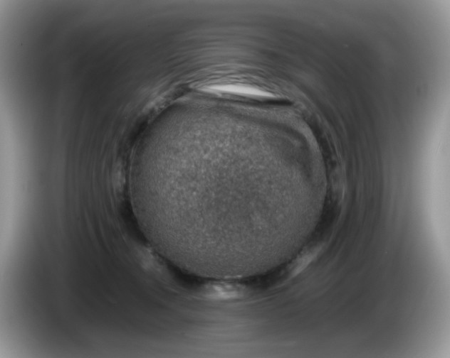 X0000086230372200704121920