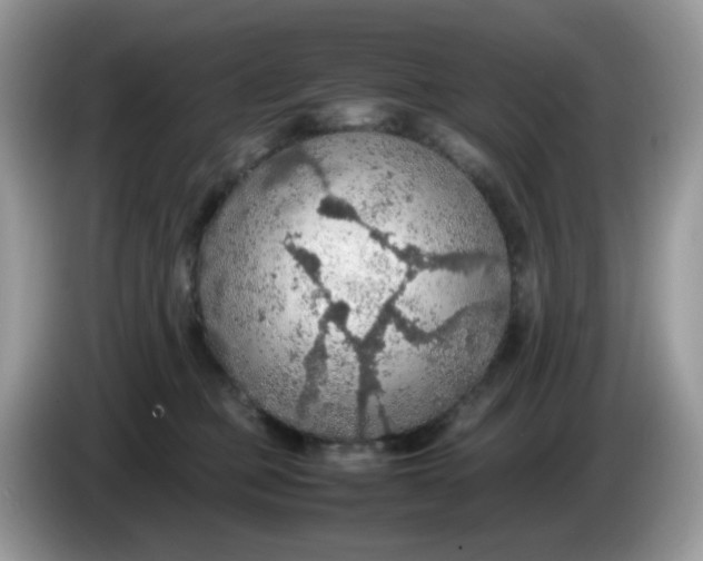 X0000086230373200704121920