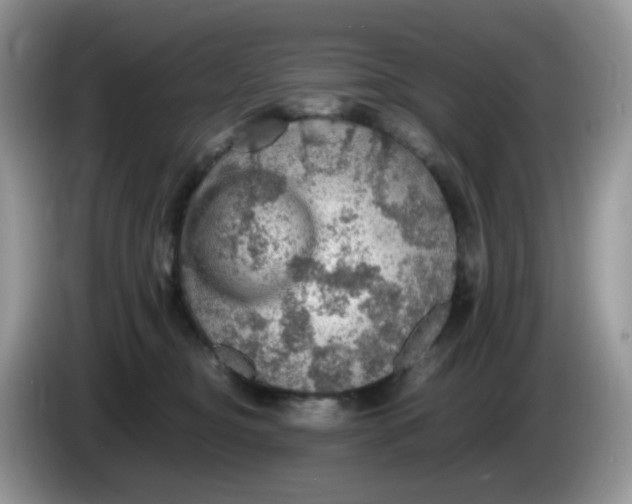 X0000086230374200704121920