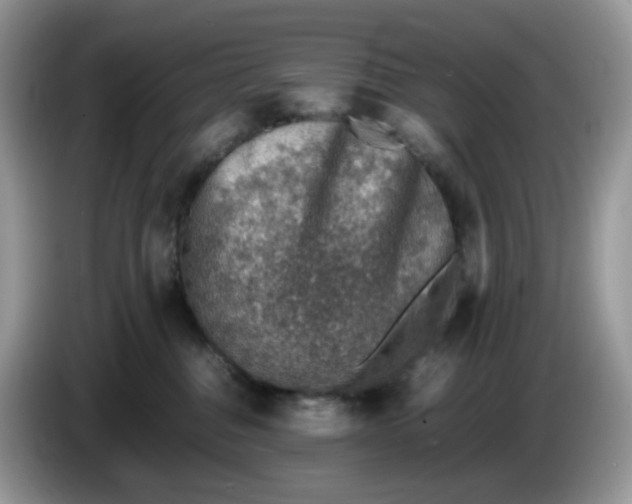 X0000086230376200704121920