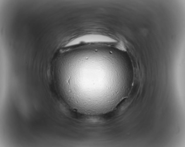 X0000086230377200704121920