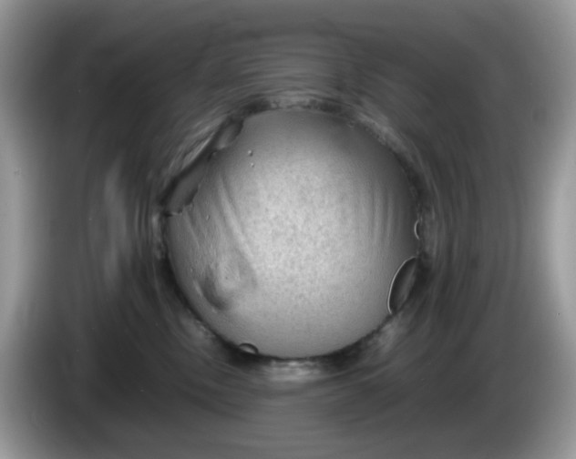 X0000086230378200704121920