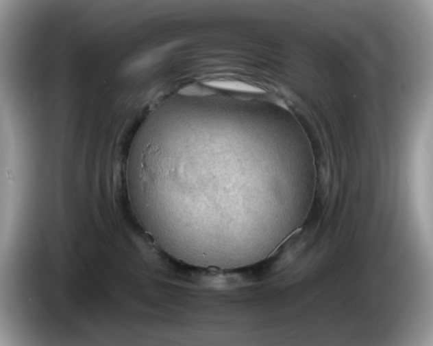 X0000086230379200704121920