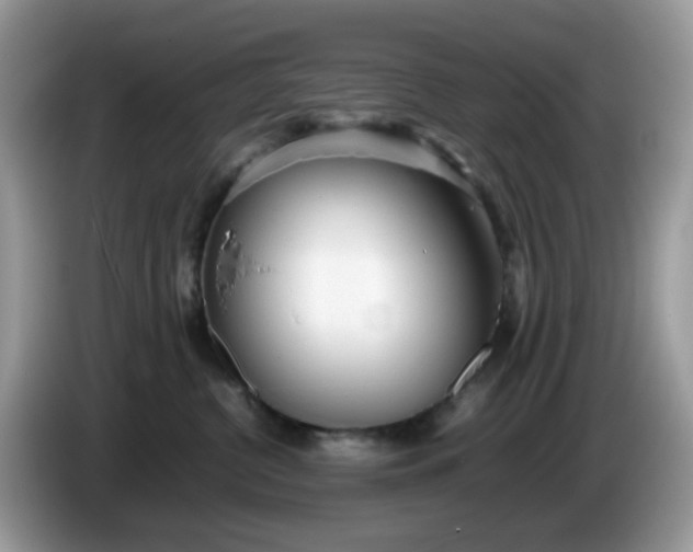 X0000086230380200704121920