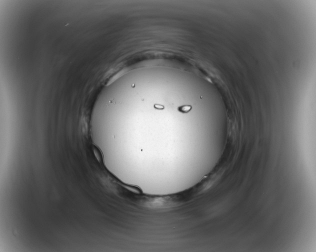 X0000086230382200704121920