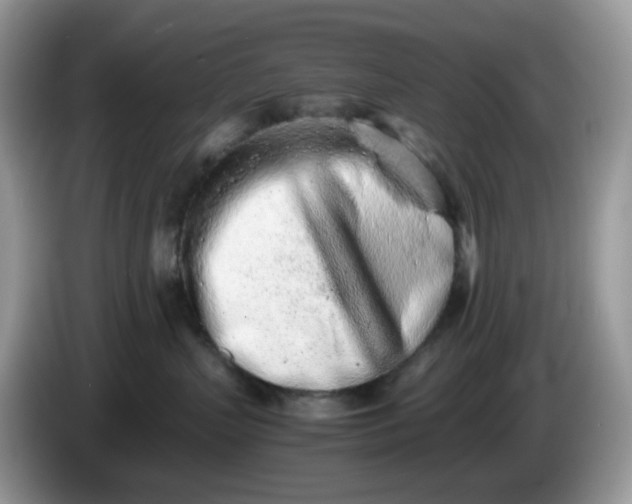 X0000086230383200704121920