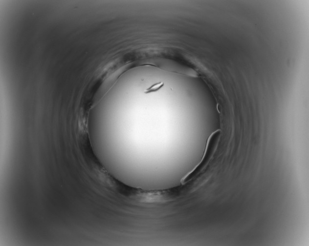 X0000086230384200704121920