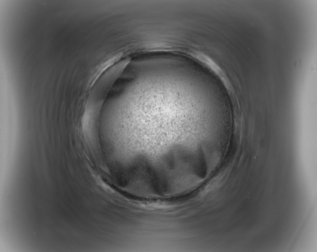 X0000086230385200704121919