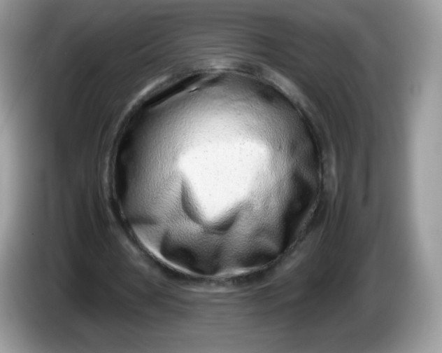 X0000086230386200704121919