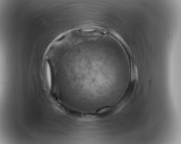 X0000086230387200704121919