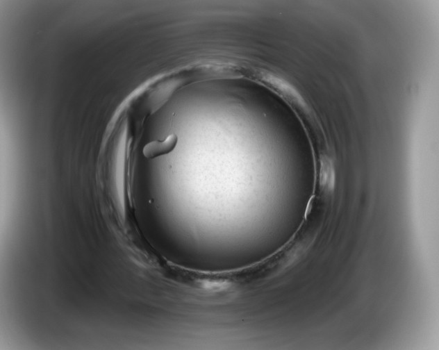 X0000086230388200704121919