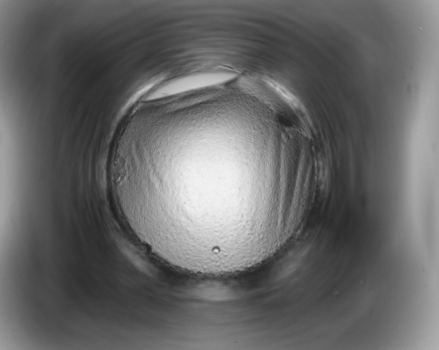 X0000086230390200704121919