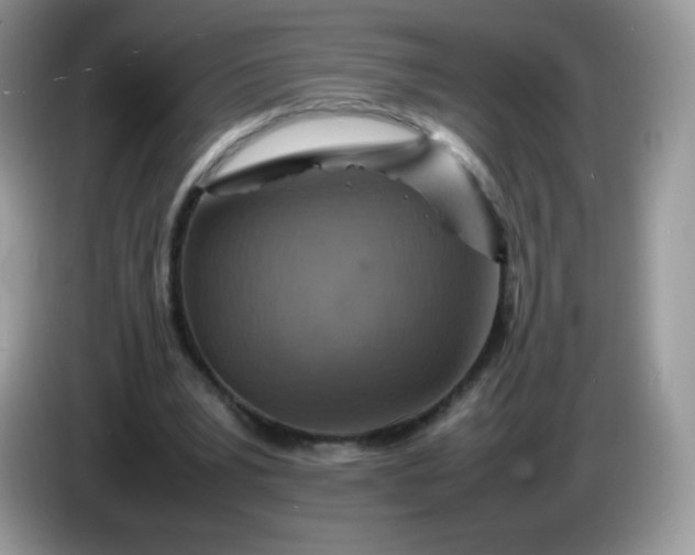 X0000086230391200704121919