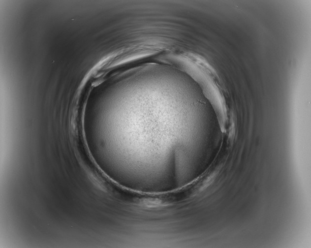 X0000086230392200704121919