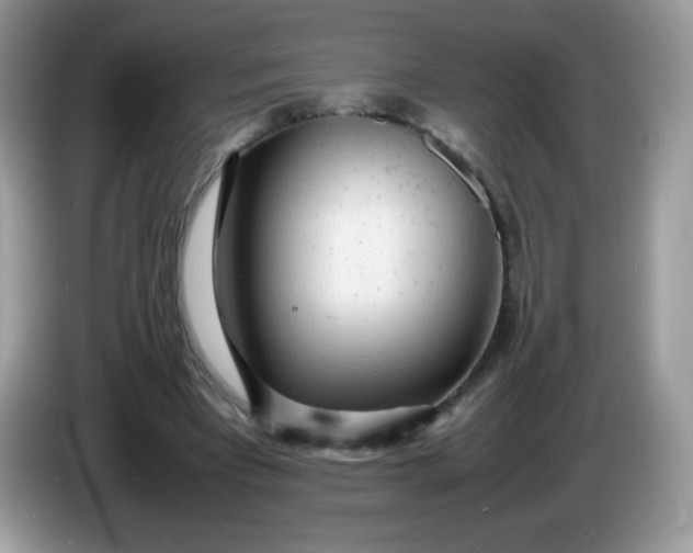 X0000086230393200704121919