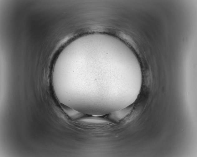 X0000086230395200704121919