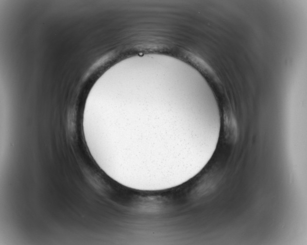 X0000086230396200704121919