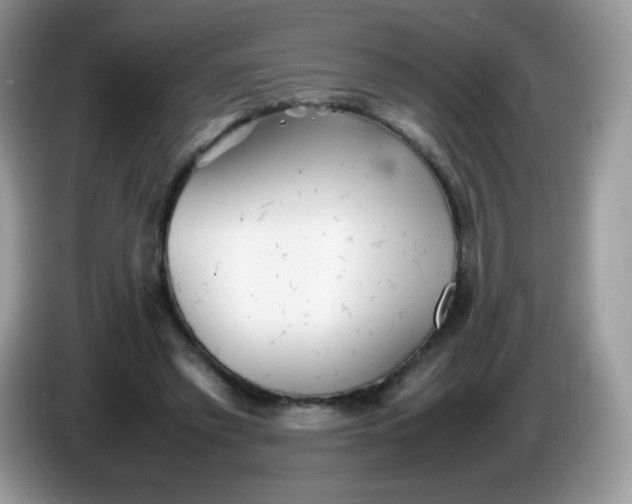 X0000086230397200704121919