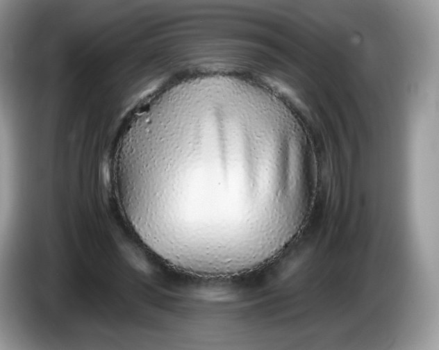 X0000086230398200704121919