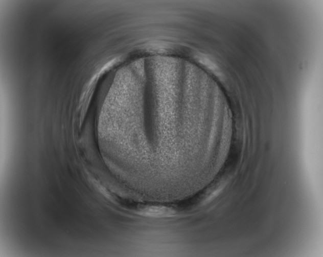 X0000086230399200704121919