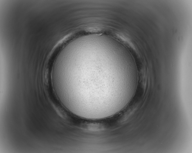 X0000086230400200704121919