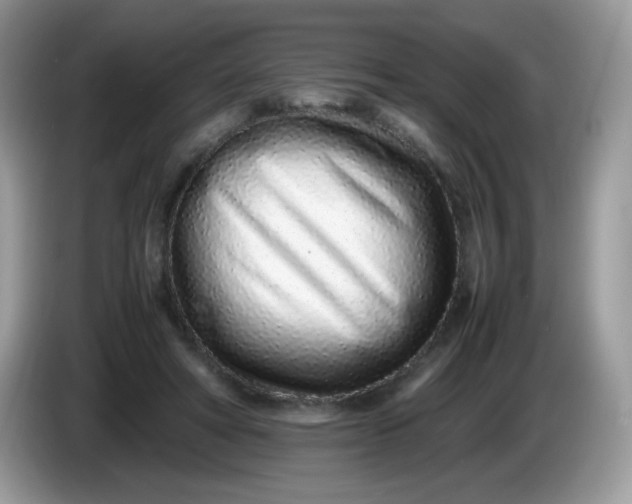 X0000086230402200704121919