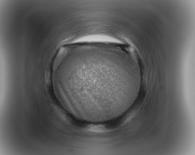 X0000086230403200704121919