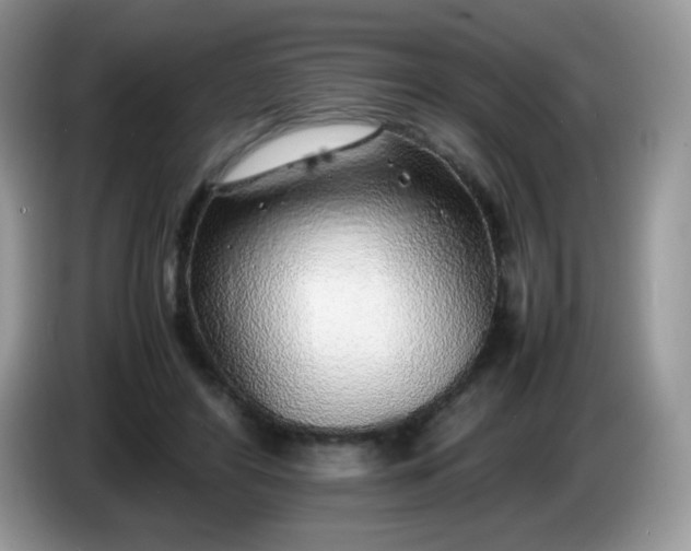 X0000086230404200704121919