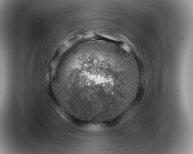 X0000086230405200704121919