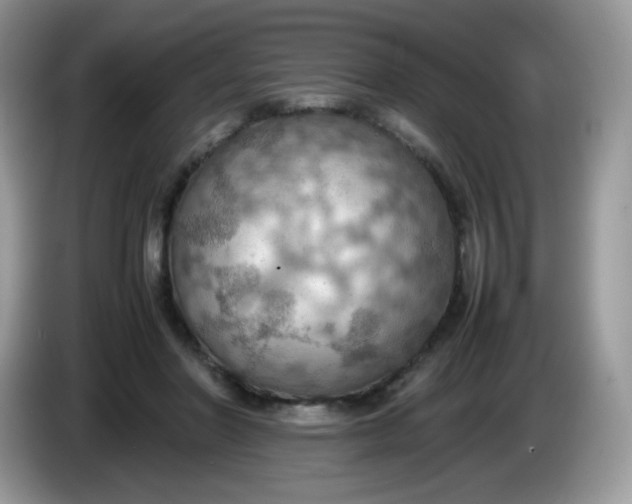 X0000086230406200704121919