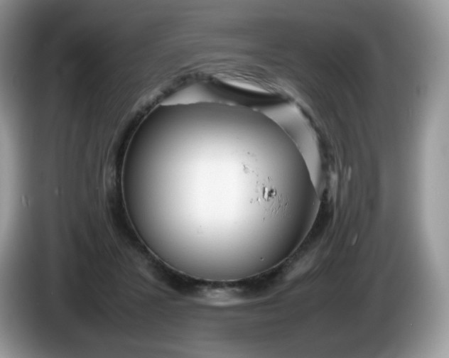 X0000086230407200704121919