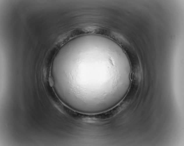 X0000086230408200704121919