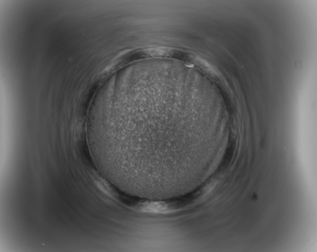 X0000086230409200704121919