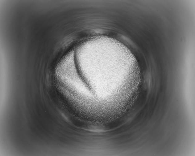 X0000086230410200704121919