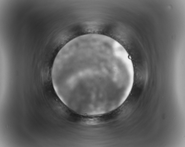 X0000086230411200704121919