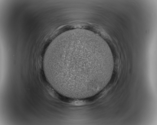 X0000086230413200704121919