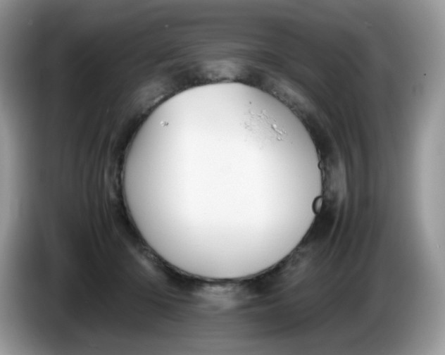 X0000086230414200704121919