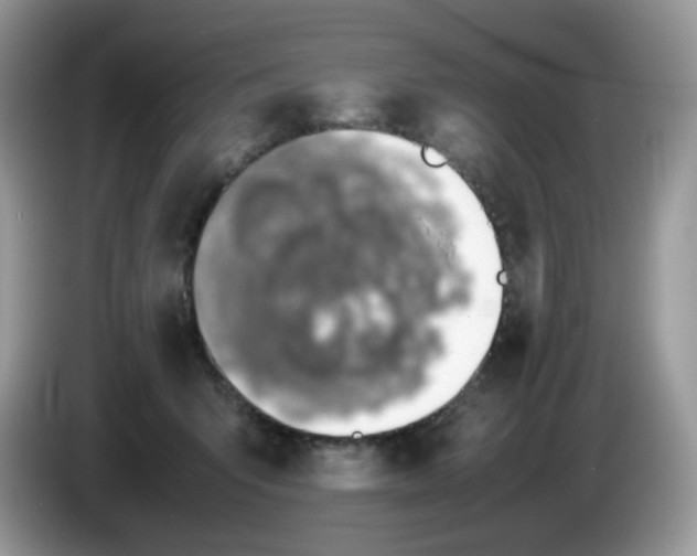 X0000086230415200704121919