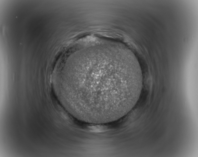 X0000086230417200704121919