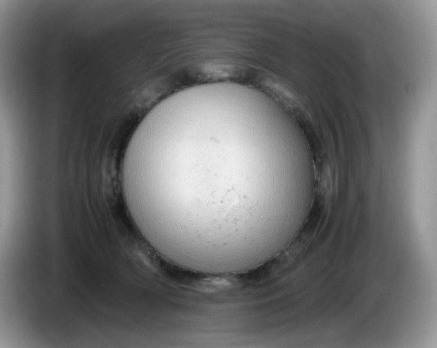 X0000086230418200704121919