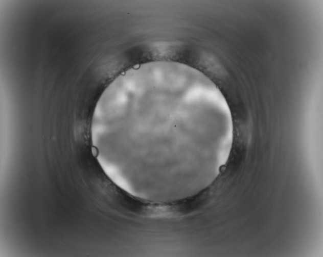 X0000086230419200704121919