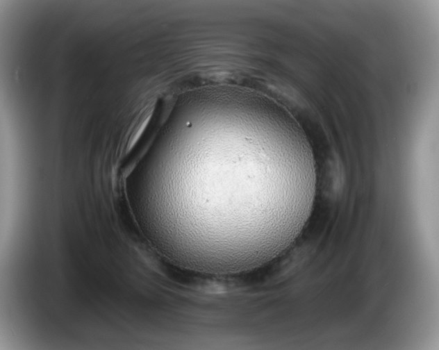 X0000086230420200704121919