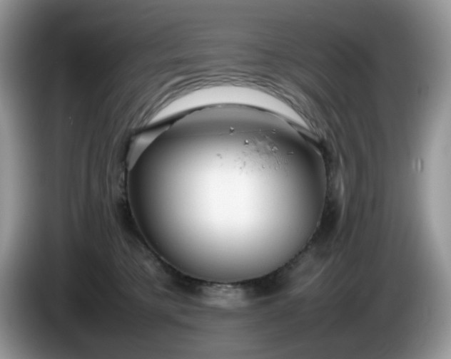 X0000086230421200704121919