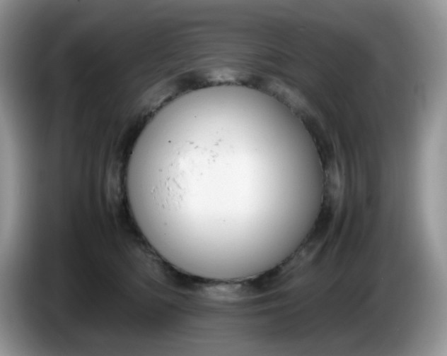 X0000086230422200704121919