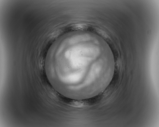 X0000086230423200704121919