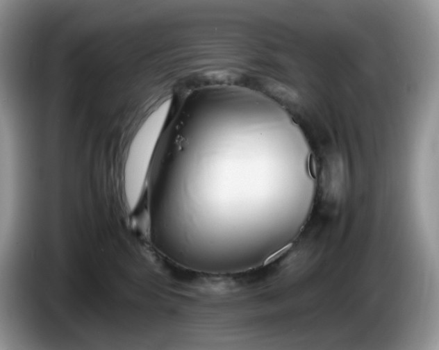 X0000086230424200704121919