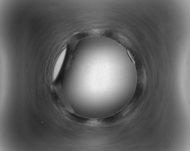 X0000086230425200704121919