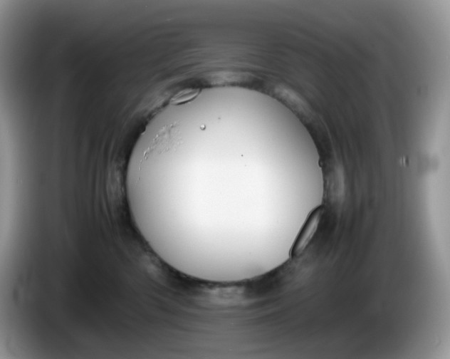 X0000086230426200704121919