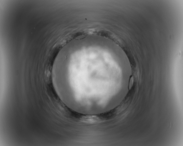 X0000086230427200704121919